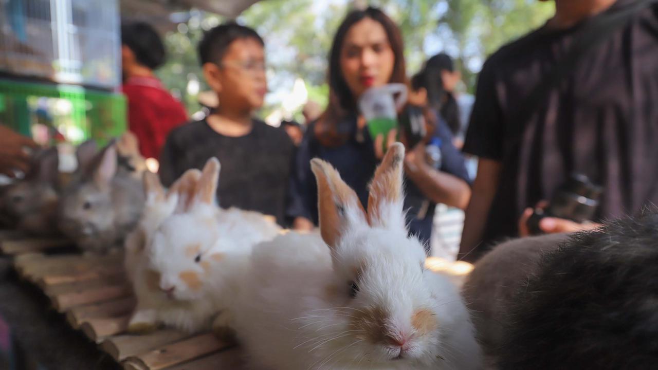 Menikmati Kekayaan Flora Nusantara di Tengah Jakarta