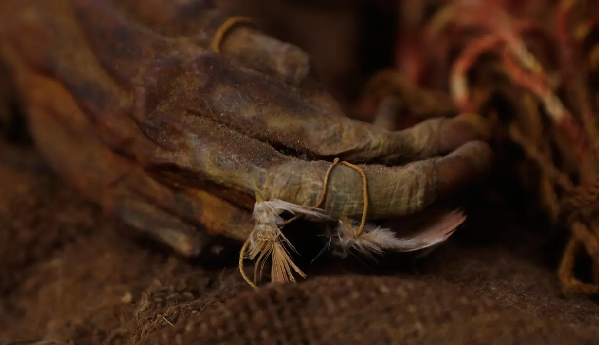 Bulu burung menempel pada jari tangan mumi gadis Inca berusia 500 tahun yang tersimpan di Museum Arkeologi Nasional, La Paz, Bolivia, Kamis (15/8/2019 ). Mumi yang memukau banyak orang karena kondisinya sangat baik tersebut dijuluki 'Nusta' atau 'Putri' dalam bahasa Quechua. (AP Photo/Juan Karita)