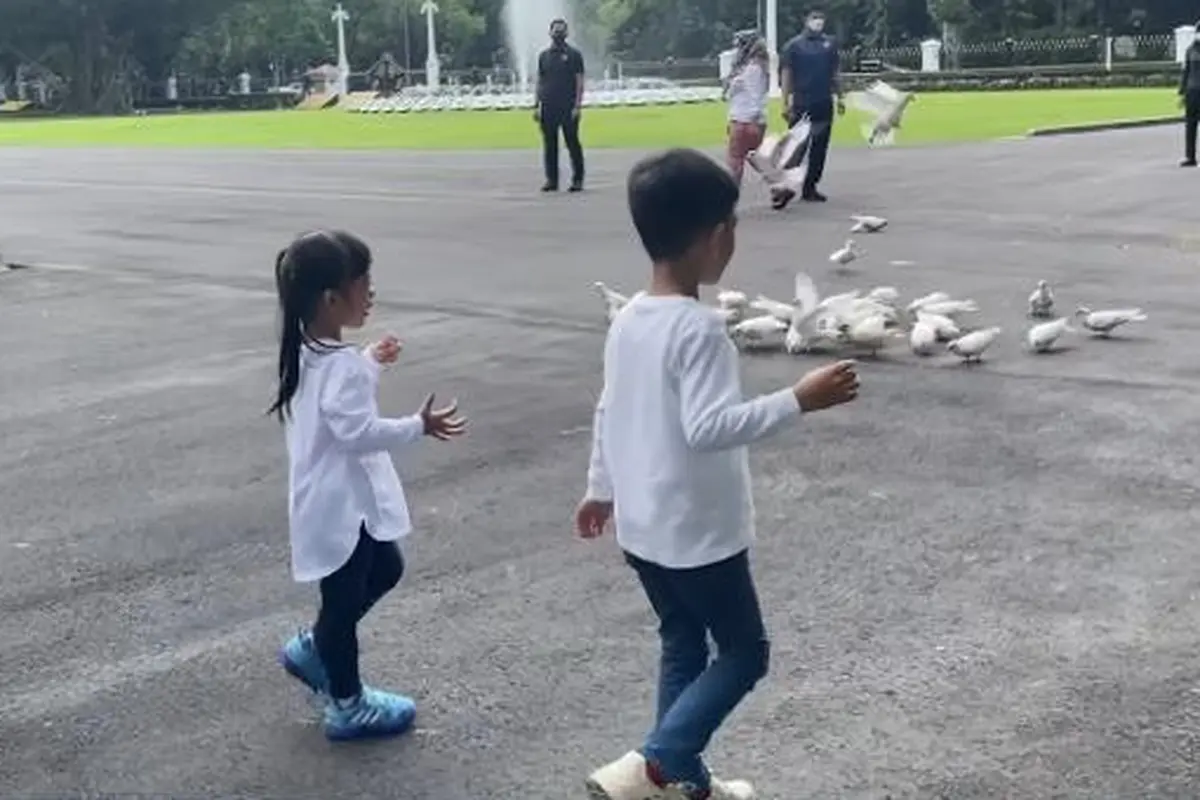 Cucu Jokowi, Jan Ethes dan Sedah Mirah