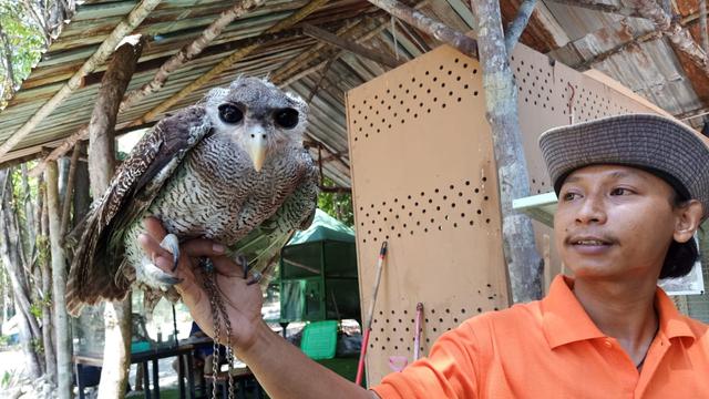 Jelajah Singkat ke Kepri Coral, Tempat Wisata Hits di Pulau Pengalap Batam