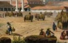 Dulunya Salah Satu Kota Industri Penting Bagi VOC, Ini Sejarah Perkembangan Kota Tegal
