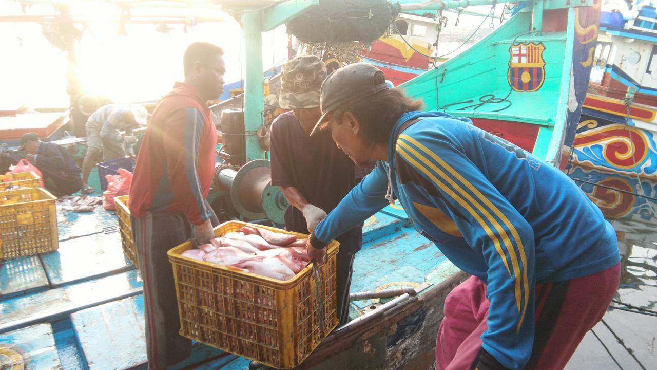 Gerak Cepat Indonesia Jamin Perlindungan Kerja Awak Kapal Perikanan