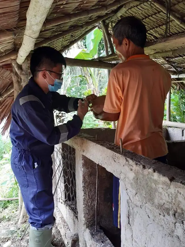 Kementan Terus Pantau dan Koordinasikan Penanganan Kasus Demam Babi Afrika