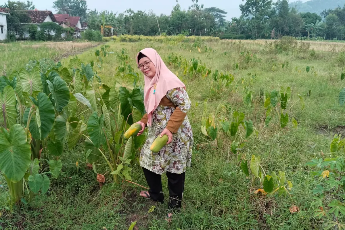 Suprihatin (58), salah seorang pengurus Kelompok Wanita Tani (KWT) asal Kalurahan Sidoagung, Kapanewon Godean, Sleman