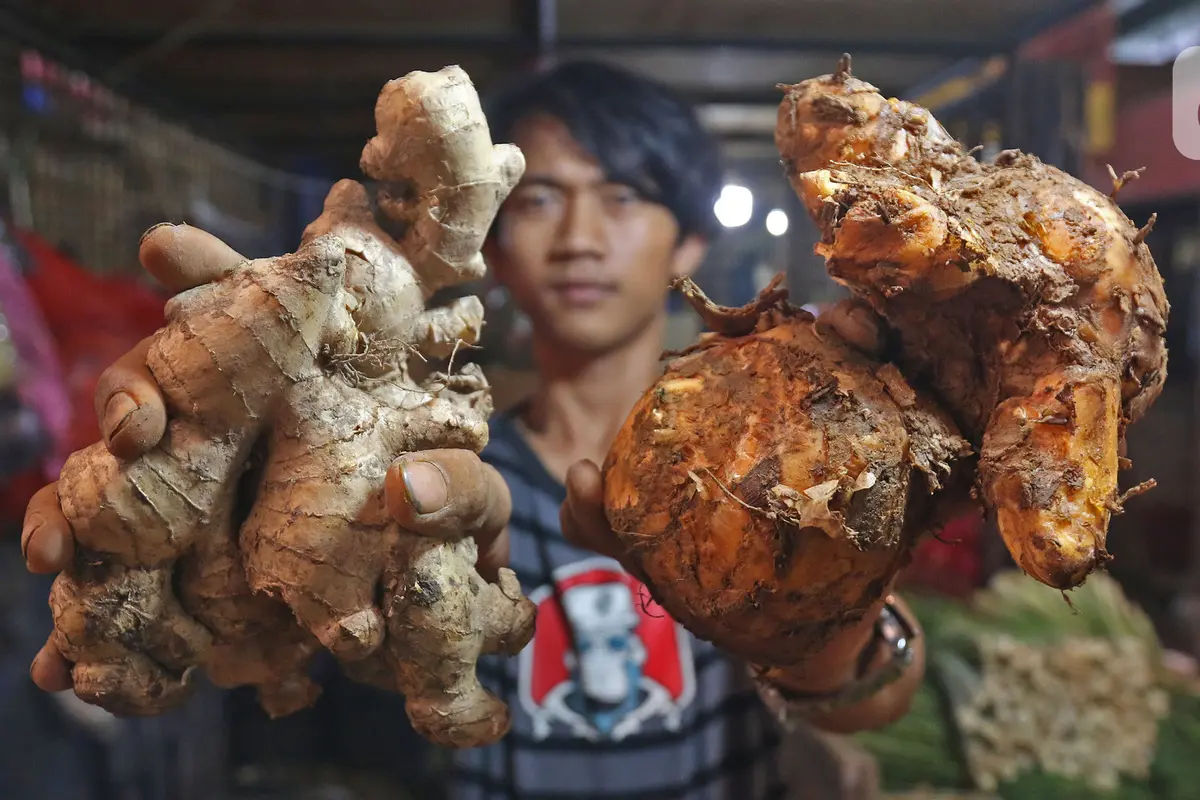 Harga Jahe Hingga Temulawak Naik
