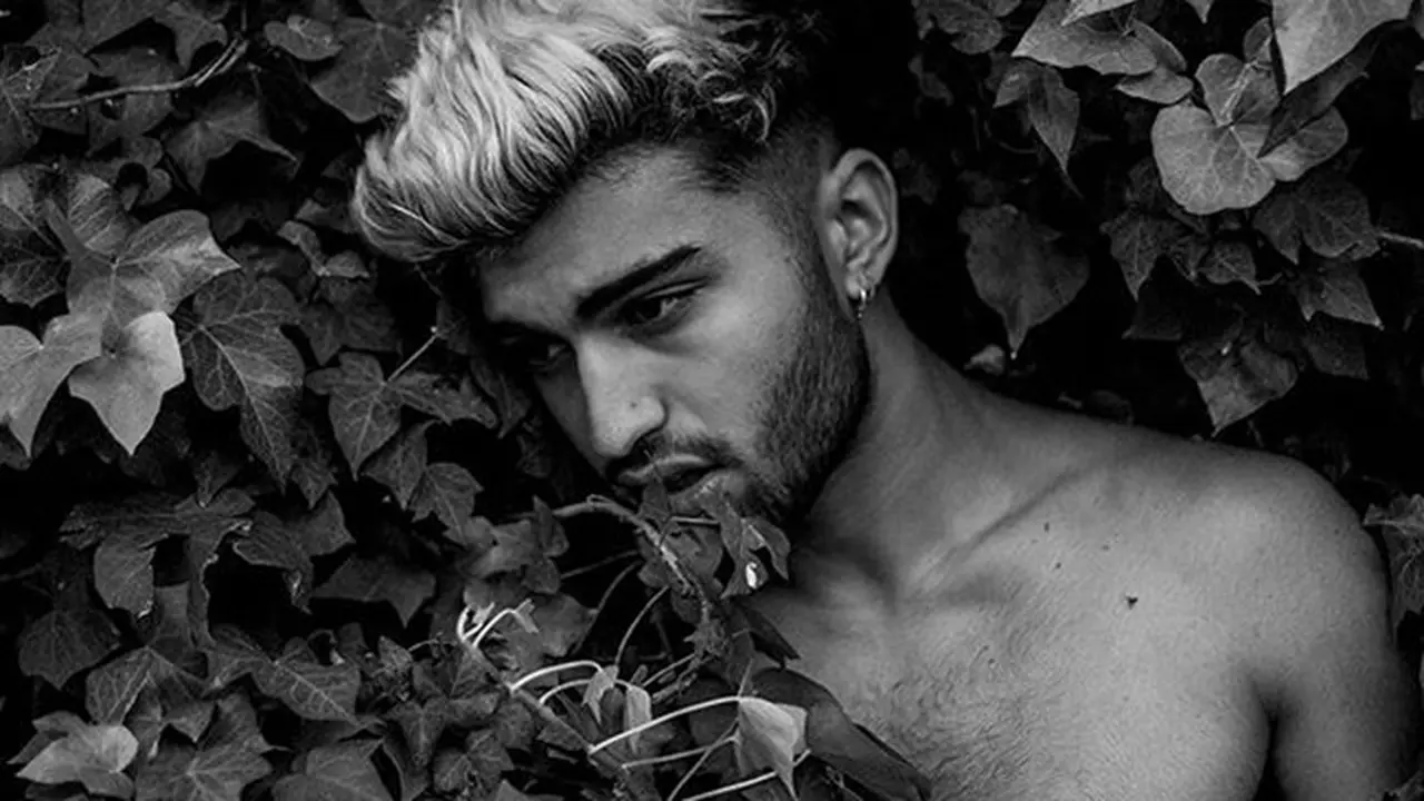 [Bintang] Zayn Malik