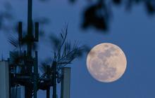 FOTO: Fenomena Super Blue Moon Hiasi Langit Jakarta, Beginilah Penampakan Langkanya