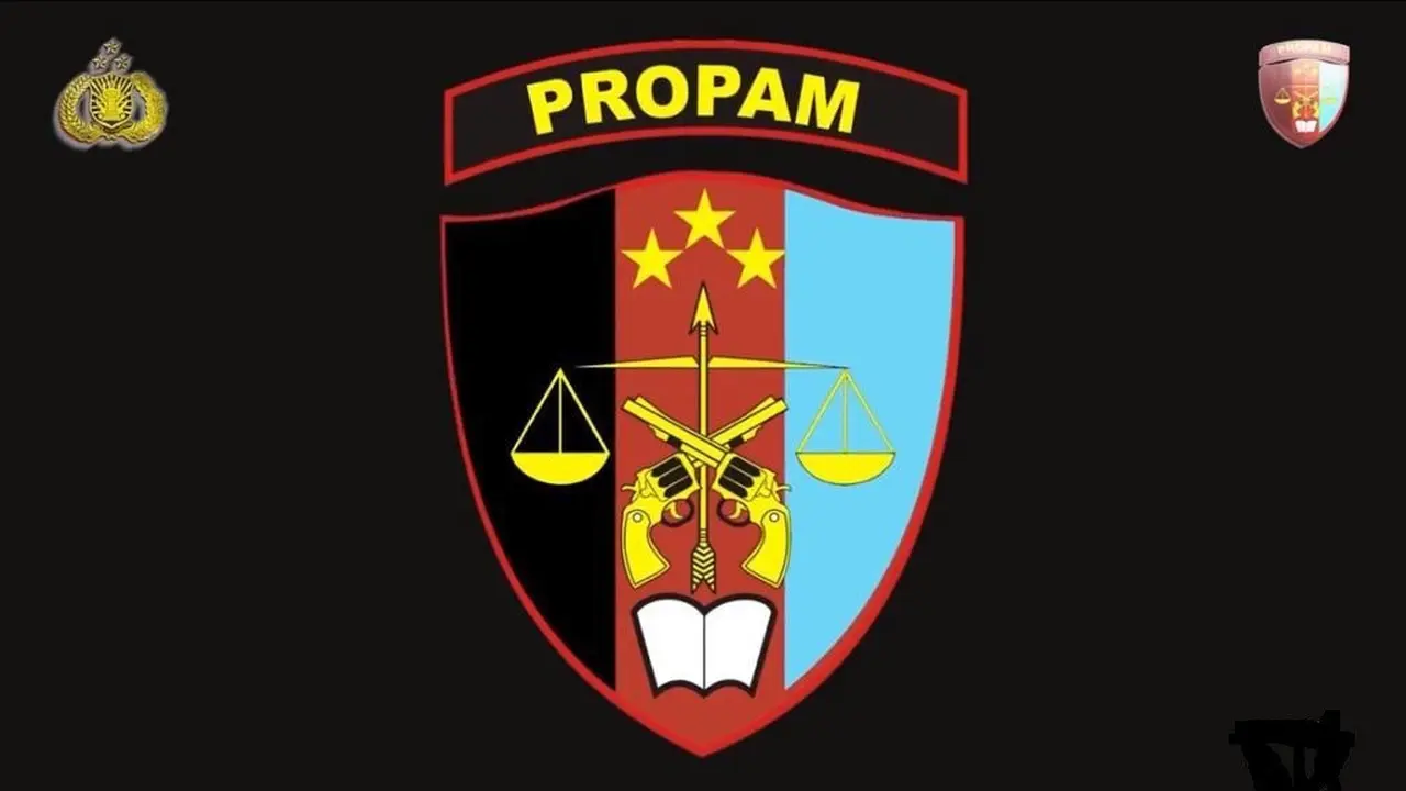Divisi Propam Polri