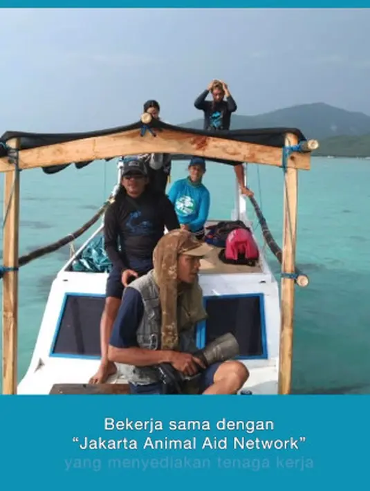 Lebih lanjut Sherina mengatakan, jika ingin dekat dengan Lumba-Lumba bukan berarti hewan tersebut dijadikan untuk atraksi. Terlebih jika Lumba-Lumba disuruh melakukan banyak hal. Bukan cara mengedukasi, bagi Sherina.
 (Instagram/sherinasinna)