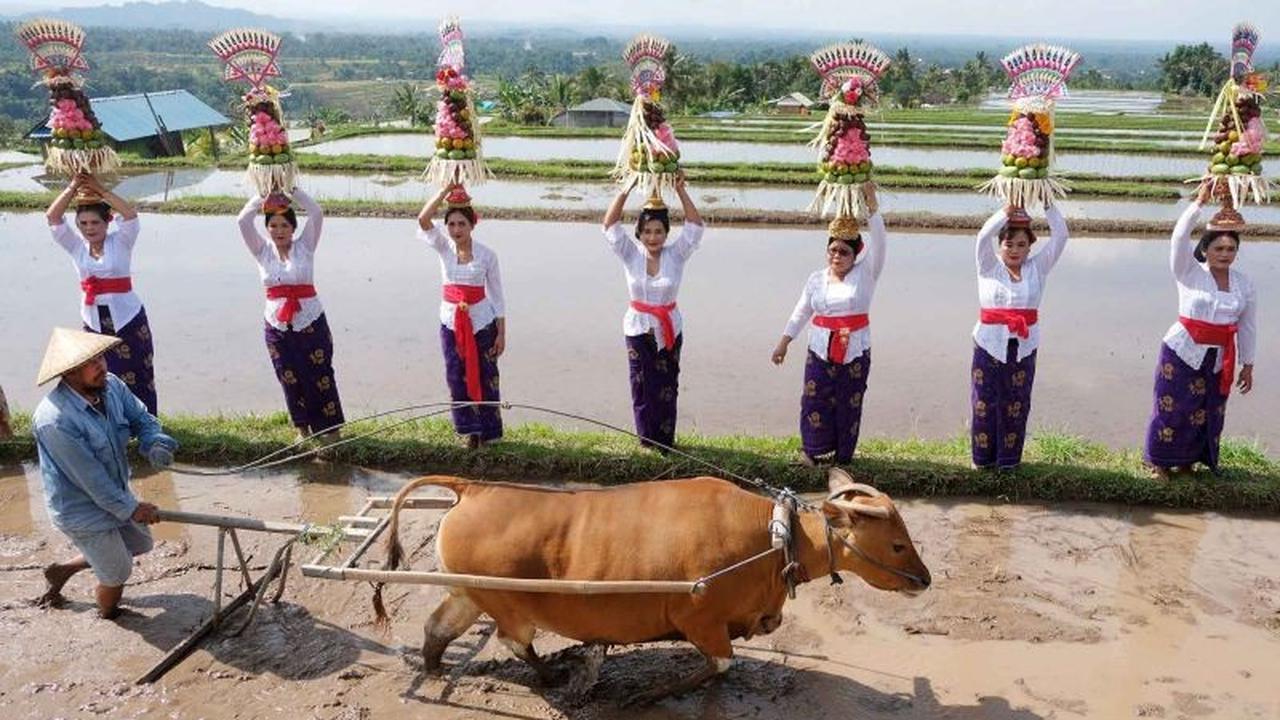 Fakta! 44% Devisa Pariwisata RI Terkonsentrasi di Bali, Ini Terobosan UU Kepariwisataan Baru