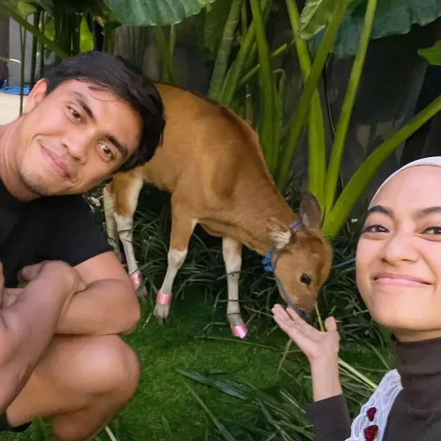 7 Momen Ulang Tahun Ayudia Bing Slamet, Bahagia Dapat Kado Anak Sapi dari Suami