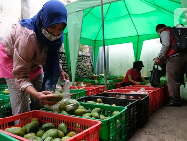 Warga memilih buah-buahan di lapak sayur dan buah hasil sortiran penjual sayur online di  Jakarta, Kamis (12/11/2020). Kementerian Perdagangan mengklaim pandemi Covid-19 menjadi momentum sektor pertanian di dalam negeri semakin subur. (Liputan6.com/Angga Yuniar)
