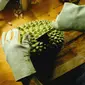 Cara mematangkan durian dengan menyimpannya ke dalam wadah (foto: Pexels/Alexey Demidov)