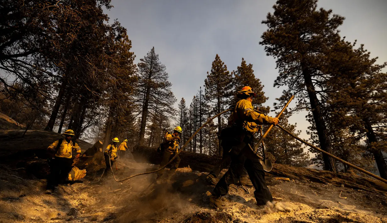 Kebakaran hutan di perbukitan dekat Los Angeles meluas dalam waktu semalam pada tanggal 11 September 2024. (ETIENNE LAURENT/AFP)