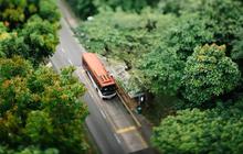 Bus Terjun ke Jurang dari Ketinggian 20 Meter, 55 Penumpang Tewas