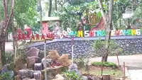 Viral Harimau di Semarang Zoo Mati Diduga karena Salah Anestesi