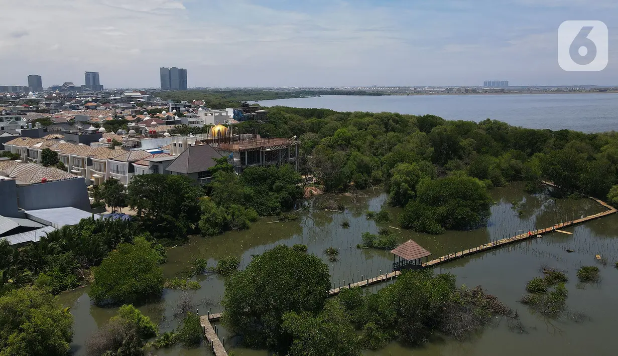 Foto areal kawasan Hutan Magrove, Jakarta, Sabtu (31/10/2020). Kawasan hutan mangrove seluas 45 hektar adalah salah satu kawasan yang tersisa di Jakarta menjadi salah satu tempat perlindungan dan konservasi. (merdeka.com/Imam Buhori)