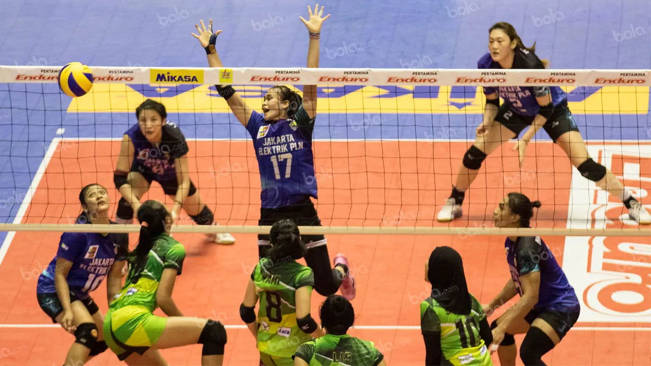 Proliga 2016