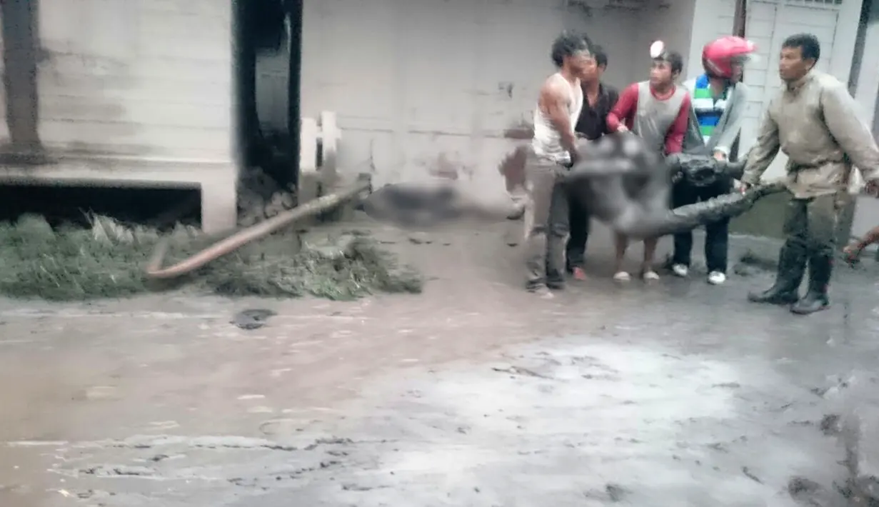 Warga mengevakuasi korban awan panas Gunung Sinabung, Kabupaten Karo, Sumatera Utara, (22/5). Gunung Sinabung termasuk  gunung berapi yang aktif di Indonesia, yang rawan terhadap guncangan bumi karena letaknya di “Lingkaran Api” Pasifik. (Tuty/Basarnas)