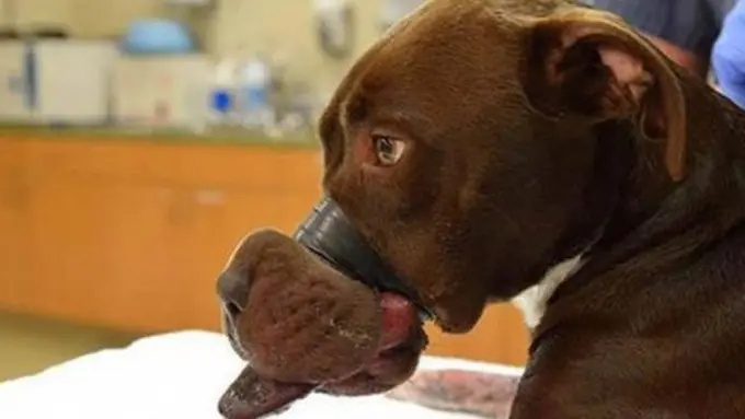 copyright by asiaone.com/facebook.com