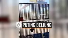 Terjadi angin puting beliung, Senin (5/8/2019) di Garut, Jawa Barat. Kejadian ini terekam kamera ponsel warga.