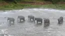 Seorang mahout menyemprotkan air ke gajah selama mandi harian di sungai di Panti Asuhan Gajah Pinnawala di Pinnawala, Kolombo (11/8/2020). Hari Gajah Sedunia dirayakan setiap tahun pada 12 Agustus untuk menyebarkan kesadaran tentang pelestarian dan perlindungan gajah. (AFP/Lakruwan Wanniarachchi)