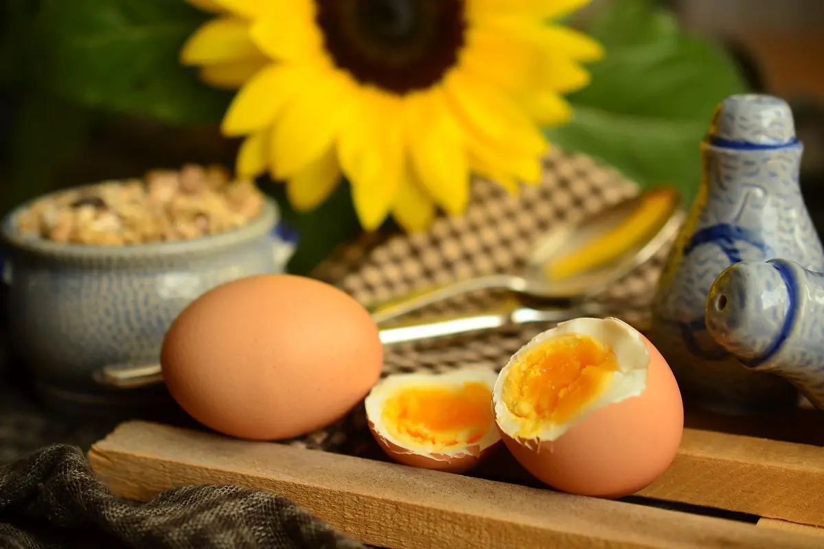 telur setengah matang
