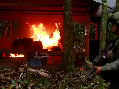 Polisi Kolombia membakar laboratorium pembuatan kokain di tengah hutan di daerah pedesaan Calamar, Guaviare, Kolombia, Selasa (2/8). Dalam operasi besar selama 5 hari ditemukan ada 104 pabrik kokain. (REUTERS/John Vizcaino)