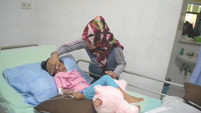 Unduh Kumpulan Gambar Harimau Untuk Tk  
