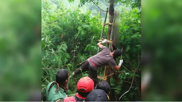 Penemuan Tengkorak Aneh Tergantung di Pohon Mahoni Bikin Heboh Warga Sukabumi