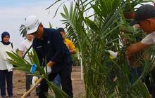 Produksi Gula PTPN Tahun 2024 Tembus 851 Ribu Ton