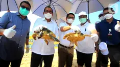 Direktur Utama PT Bank Tabungan Negara (Persero) Tbk. Haru Koesmahargyo (kedua kiri) dan Anggota Komisi XI DPR RI Eriko Sotarduga (kiri), Sekda Kabupaten Badung I Wayan Adi Arnawa (tengah) saat melepas tukik di pantai Nusa Dua, Denpasar Sabtu (10/4/2021). (Liputan6.com/Pool/BTN)