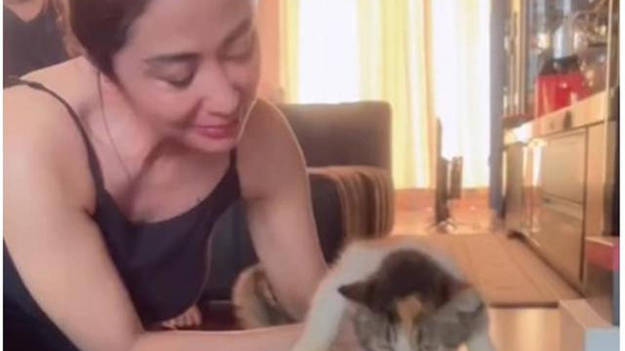 6 Potret Dewi Perssik Rawat Kucing Eko Patrio yang Selamat Pasca Penjarahan Rumah