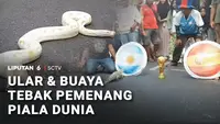 Tebak Pemenang Piala Dunia 2026 dengan Buaya