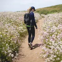 Ilustrasi Jalan-Jalan/https://unsplash.com/Matt Flores