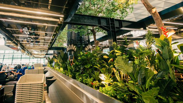 Wajah Baru Terminal 3 Bandara Soekarno Hatta Jelang Tahun Baru, Lebih Hijau dan Bisa Drop Bagasi Mandiri