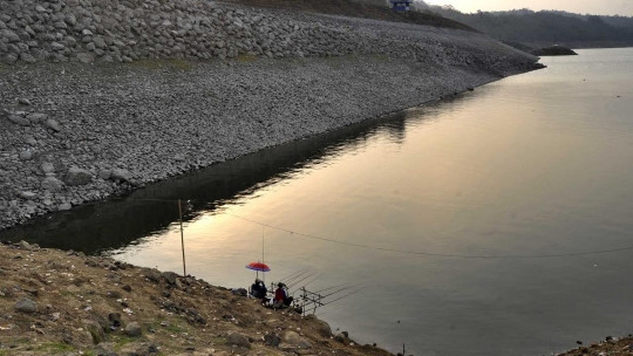 Dilanda kemarau, Waduk Wadas Lintang mengering drastis