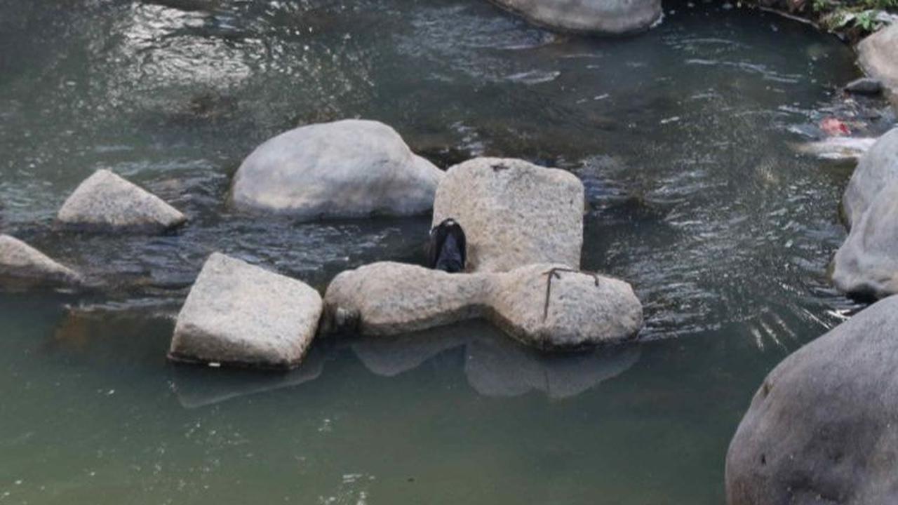 Untuk menjaga aliran irigasi tetap berlanjut untuk kehidupan flora dan fauna, penjaga bendung Katulampa masih terus berkoordinasi dengan wilayah di sepanjang aliran Sungai Ciliwung.