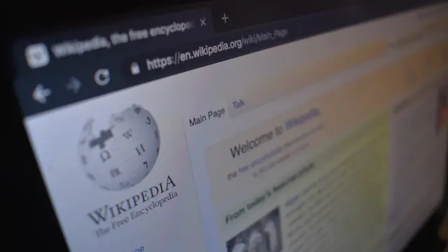 Ilustrasi Wikipedia (Unsplash)