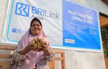 Dari Usaha Kecil, Ragaia Sosir Bantu Ekonomi Keluarga Berkat Pemberdayaan PNM Mekaar dan BRILink Agen