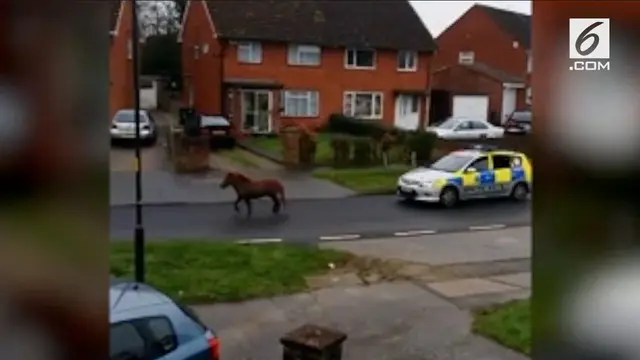 Kaburnya seekor kuda membuat warga panik. Polisi pun akhirnya turun tangan mengembalikan kuda ke kandang.