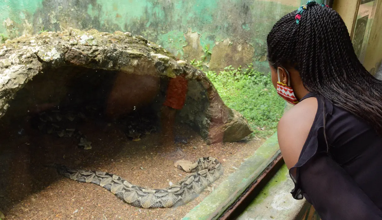Warga mengunjungi Pusat Pendidikan Konservasi Margasatwa Uganda (Uganda Wildlife Conservation Education Center/UWEC) di Entebbe, 9 Agustus 2020. Uganda pada Sabtu (8/8) membuka kembali UWEC untuk wisatawan saat negara di Afrika Timur itu melonggarkan kebijakan lockdown. (Xinhua/Nicholas Kajoba)