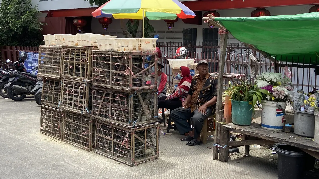 Penjual burung pipit saat Imlek 2023 di Wihara Dharma Bakti, Petak Sembilan, Jakarta Barat