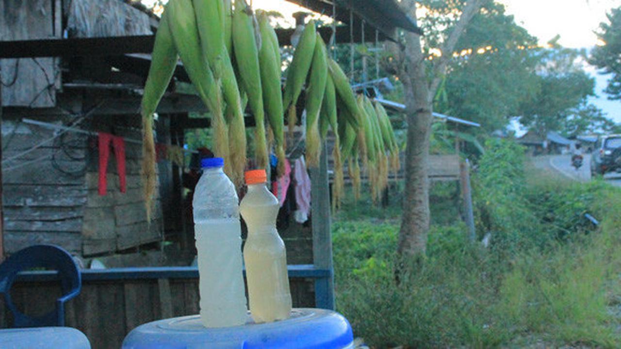 Penjelasan Lengkap Kemenag Soal Nama Produk Tuak, Bir dan Wine Dapat Sertifikat Halal
