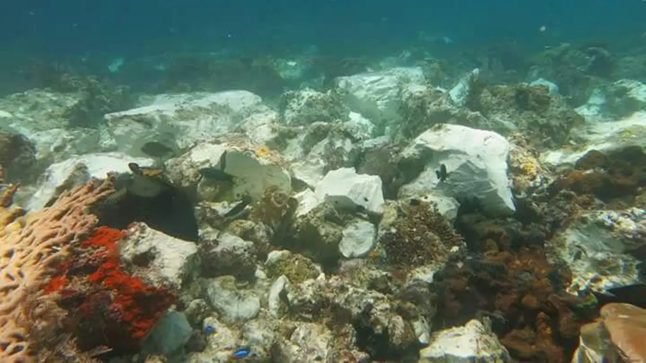 Terumbu Karang Raja Ampat yang Rusak.
