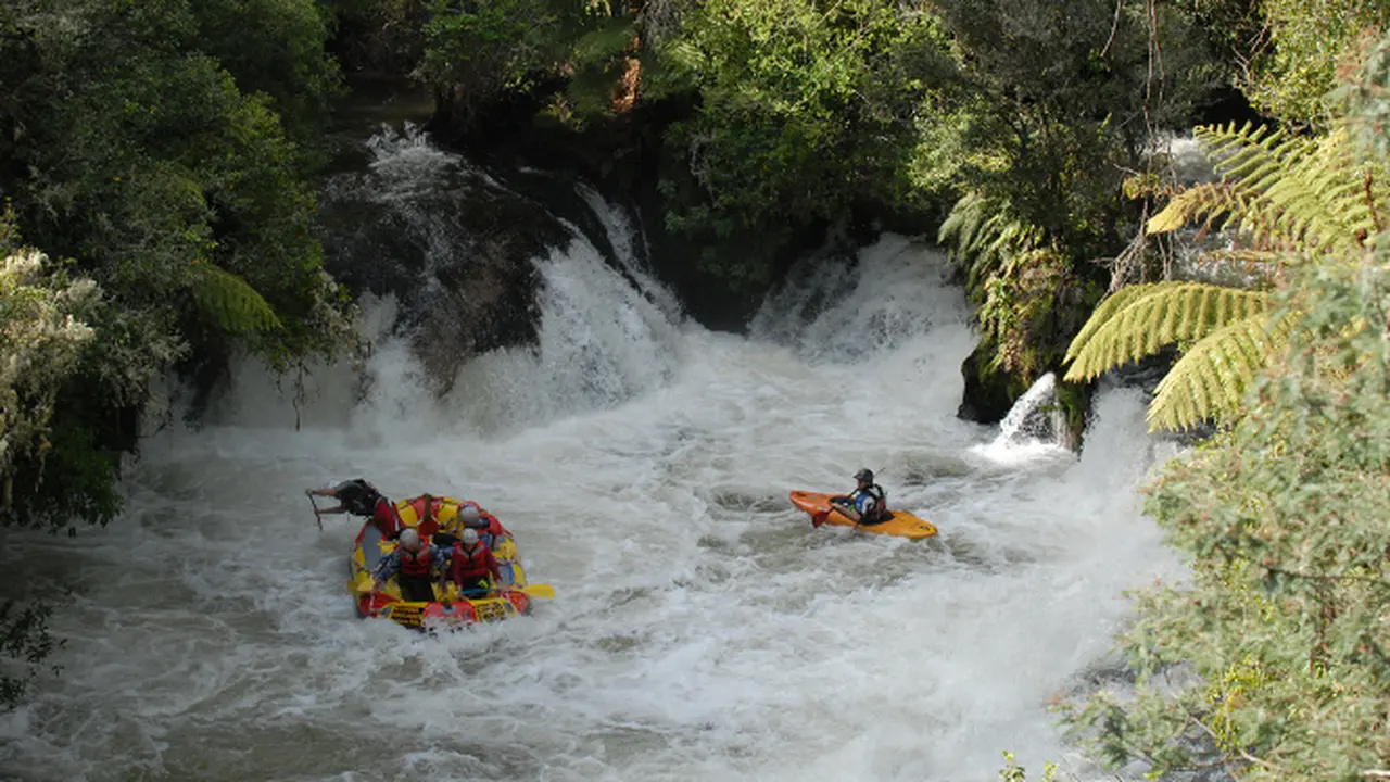 Kaituna River - New Zealand