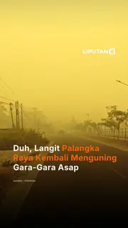 Duh, Langit Palangka Raya Kembali Menguning Gara-Gara Asap