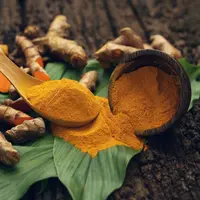 Ilustrasi/copyright shutterstock.com