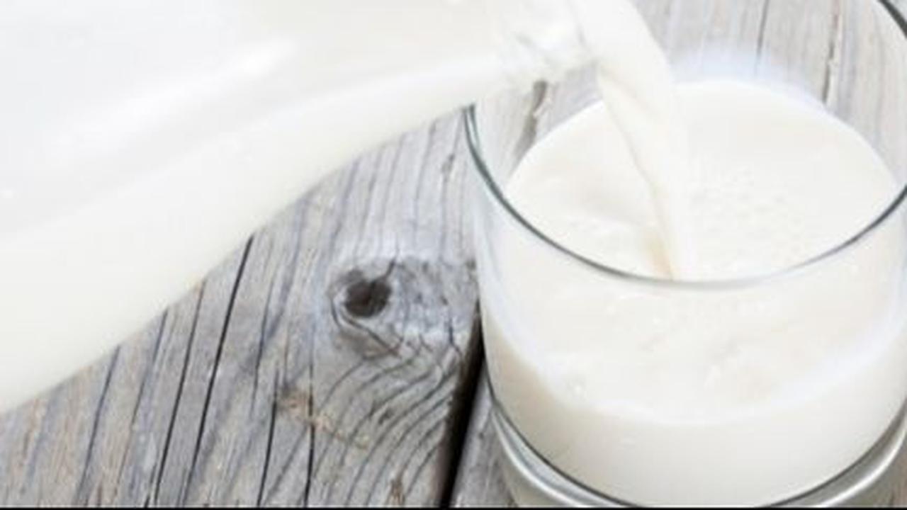 Susu Dingin