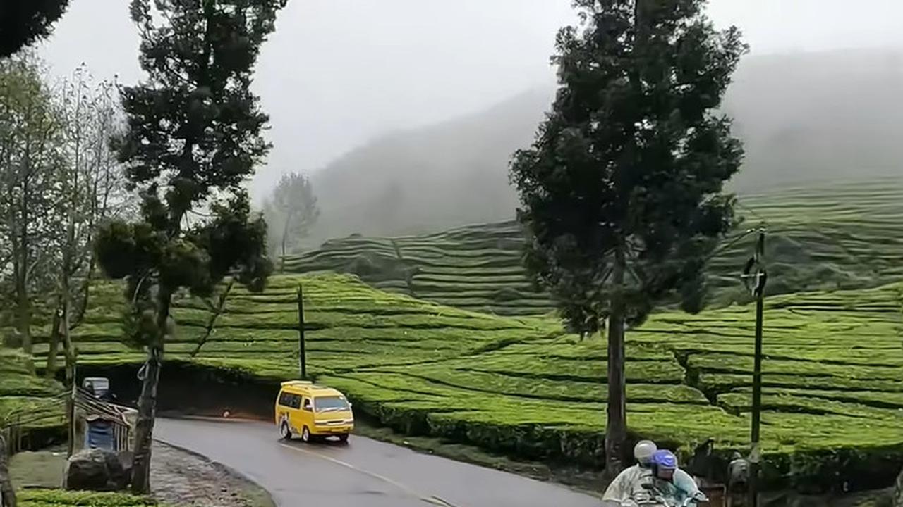 Kelok seribu Ciwidey
